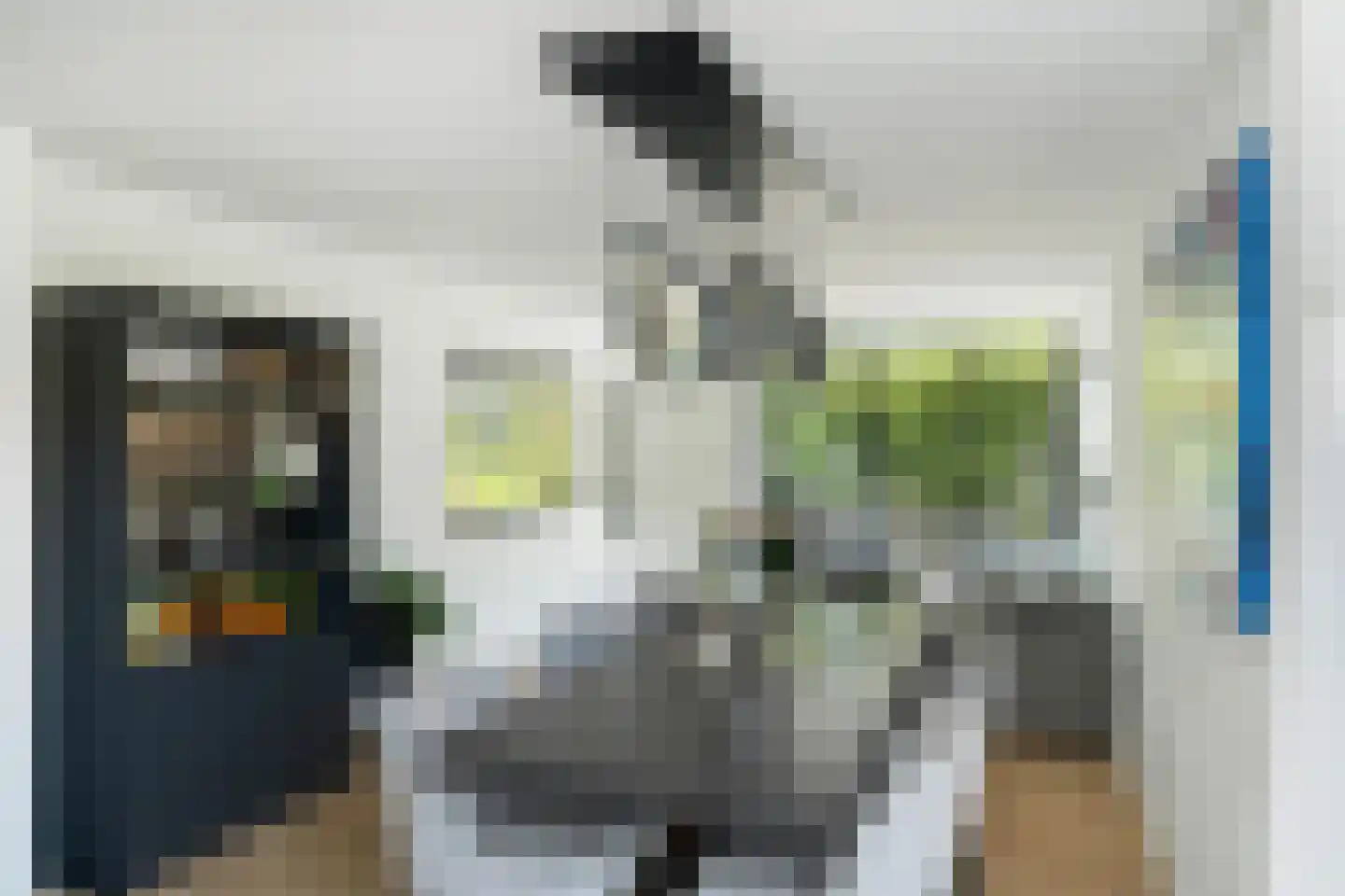 Ooievaarslaan 1 Landsmeer thumbnail 4