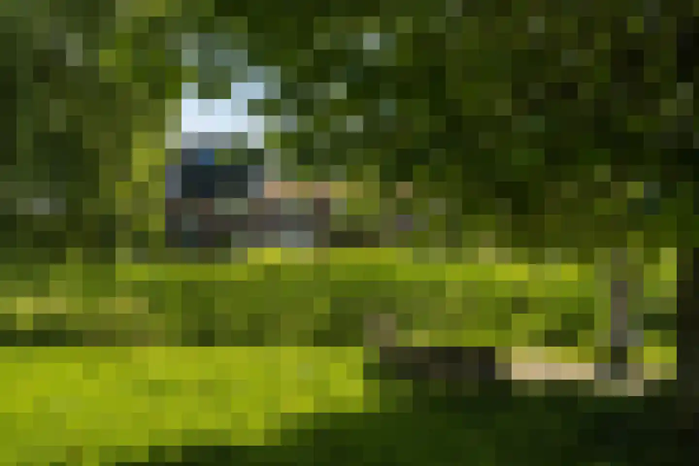 Ooievaarslaan 1 Landsmeer thumbnail 43