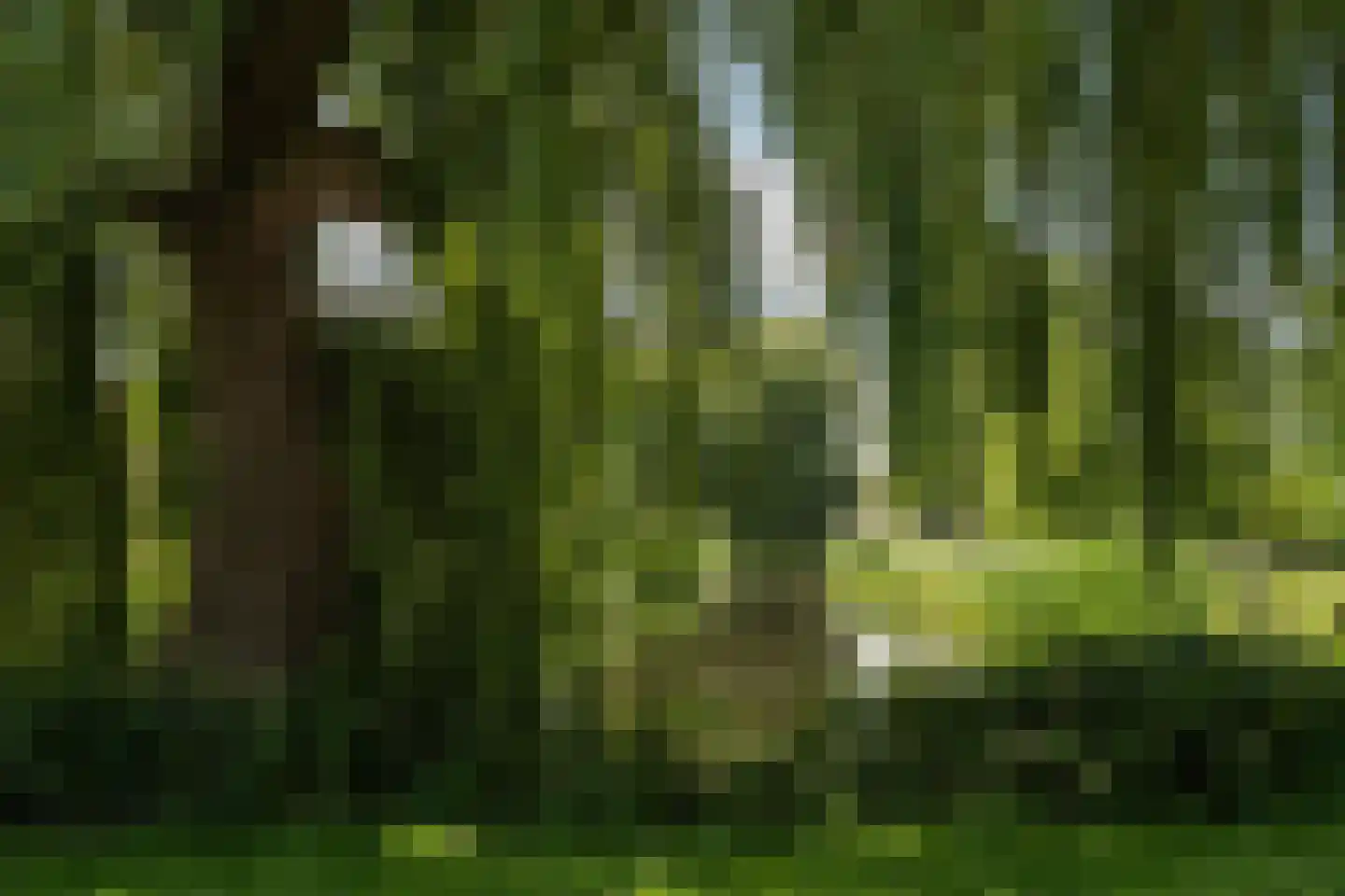 Ooievaarslaan 1 Landsmeer thumbnail 44