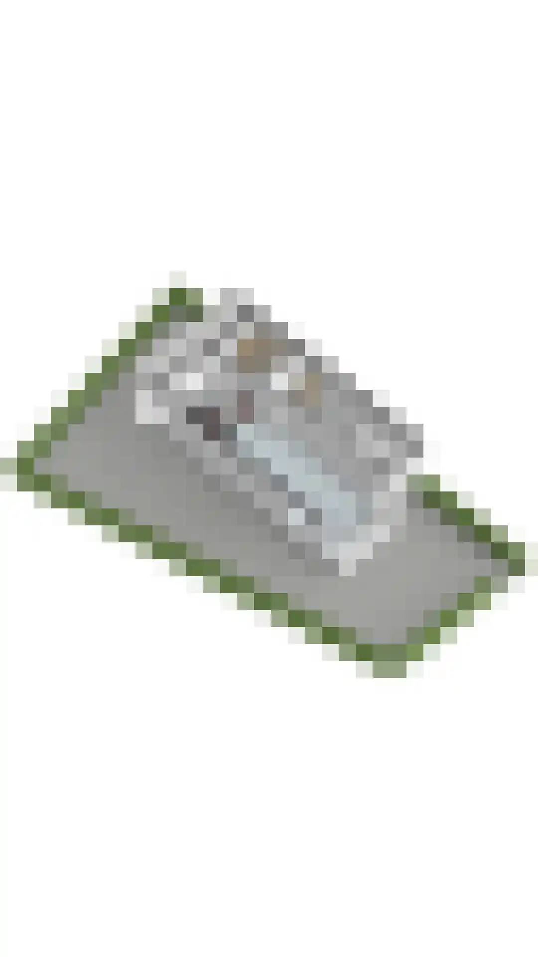 Ooievaarslaan 1 Landsmeer thumbnail 46