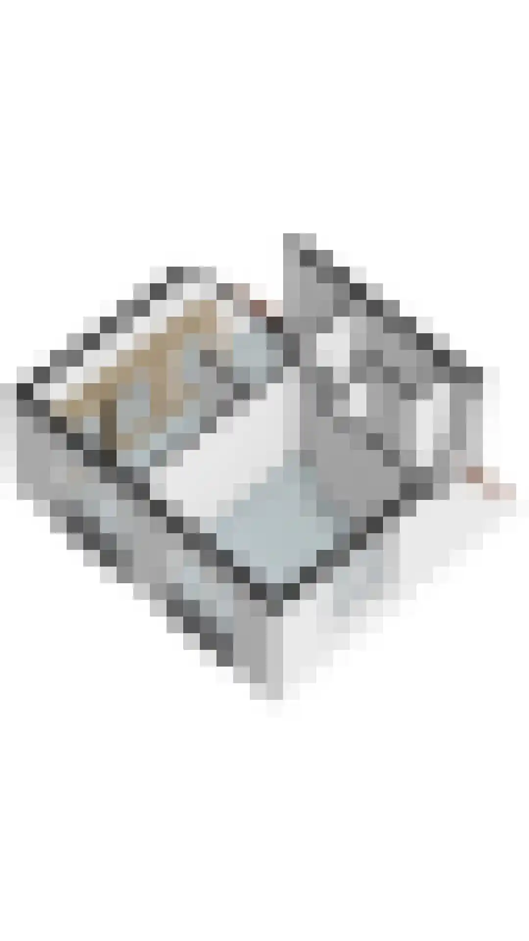 Ooievaarslaan 1 Landsmeer thumbnail 52