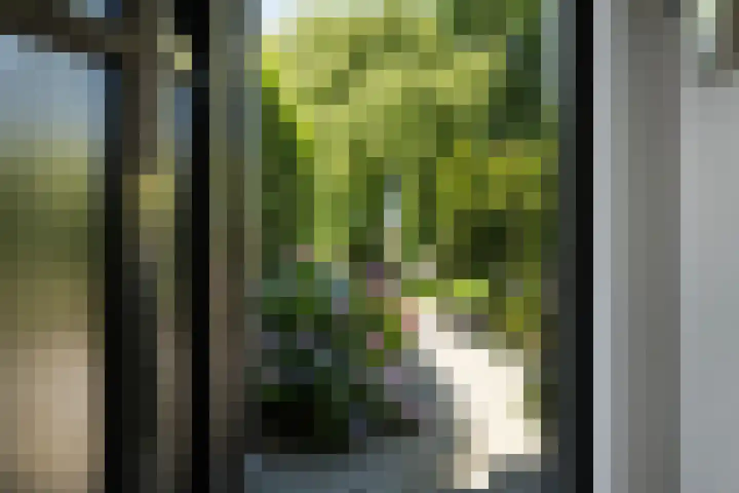 Ooievaarslaan 1 Landsmeer thumbnail 6