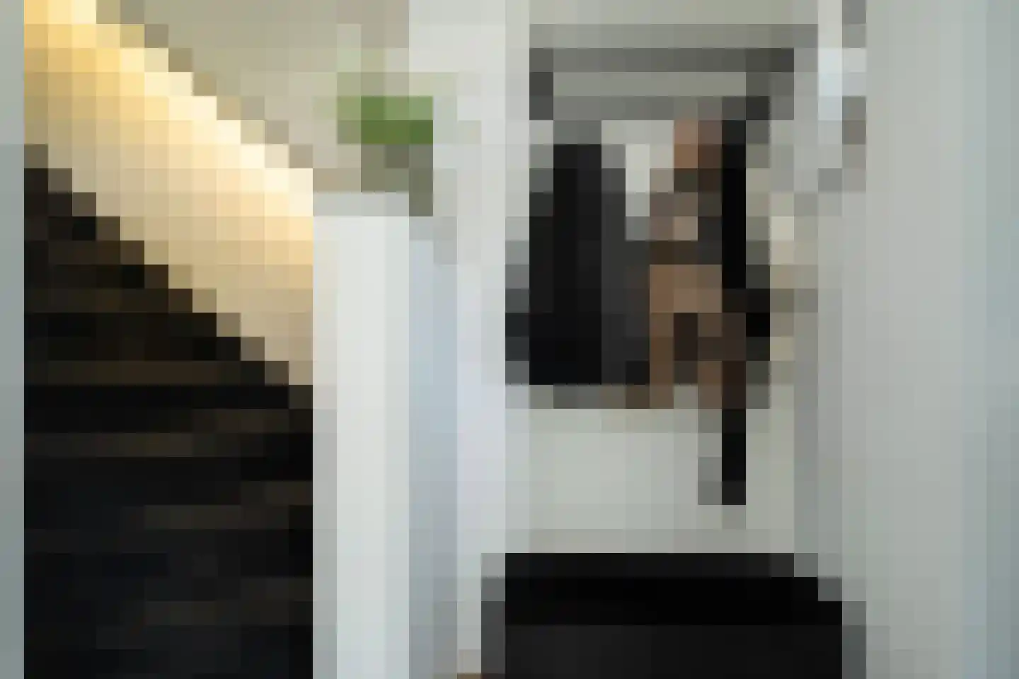 Ooievaarslaan 1 Landsmeer thumbnail 7