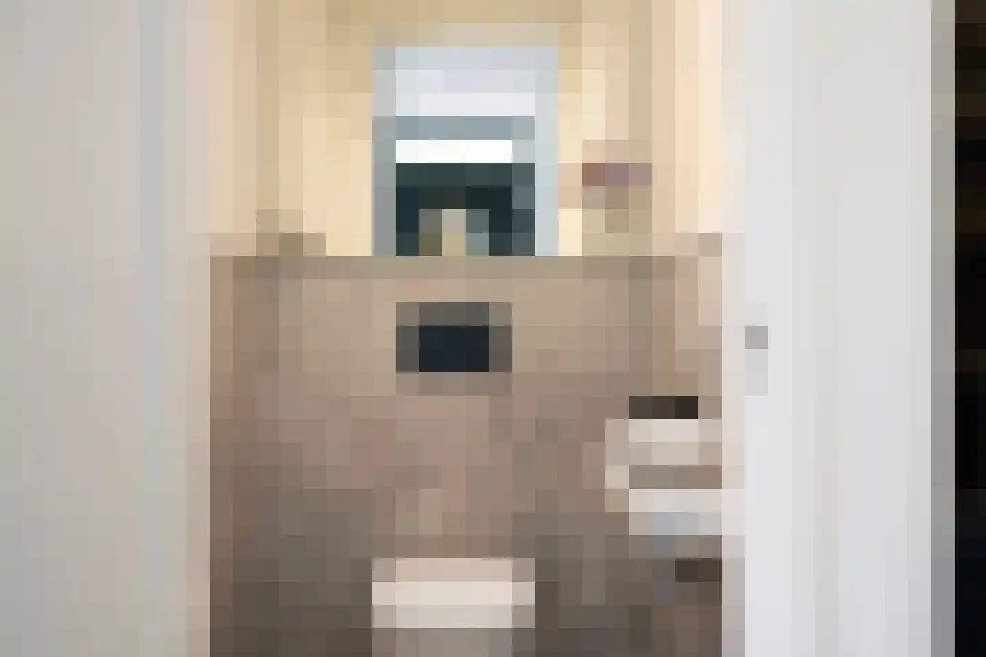 Ooievaarslaan 1 Landsmeer thumbnail 8