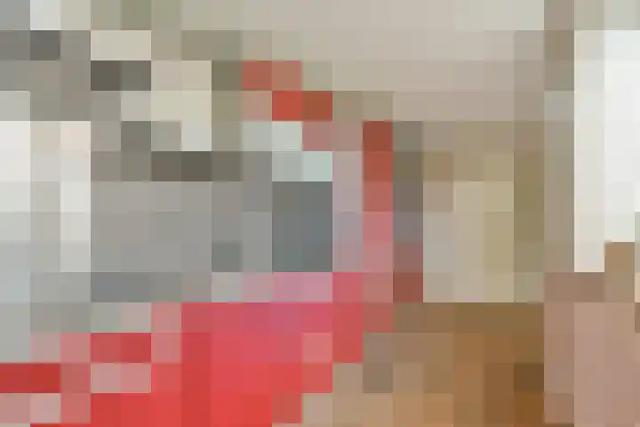 Ooievaarslaan 11 Landsmeer thumbnail 11