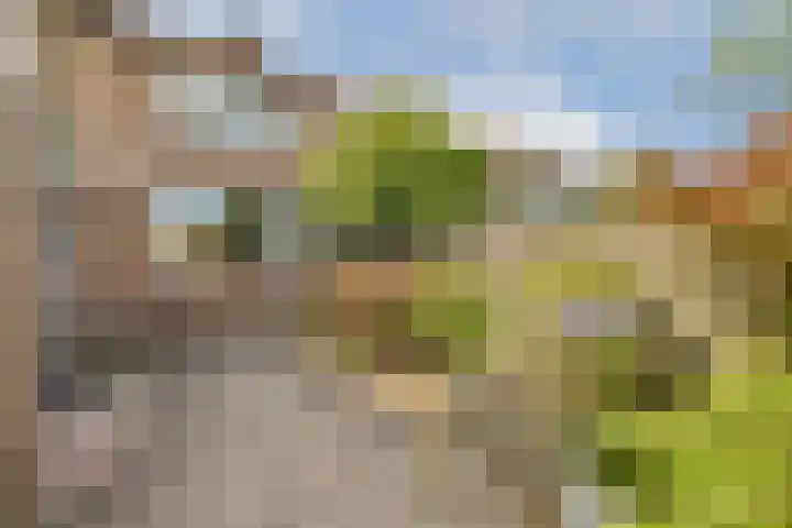 Ooievaarslaan 11 Landsmeer thumbnail 12