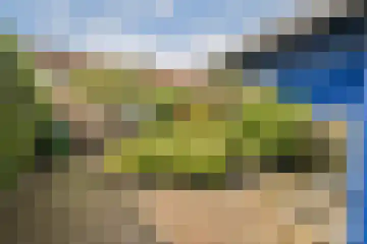 Ooievaarslaan 11 Landsmeer thumbnail 15