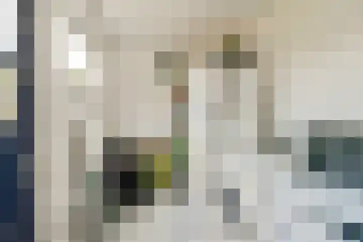 Ooievaarslaan 11 Landsmeer thumbnail 16
