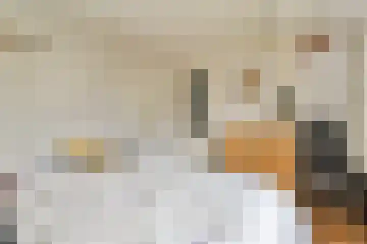 Ooievaarslaan 11 Landsmeer thumbnail 18