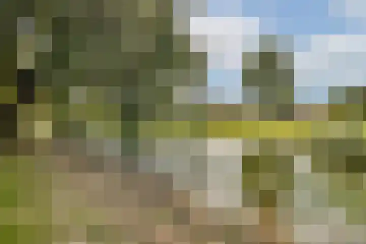 Ooievaarslaan 11 Landsmeer thumbnail 4