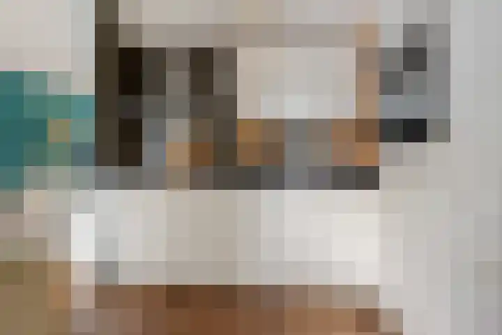 Ooievaarslaan 11 Sneek thumbnail 11