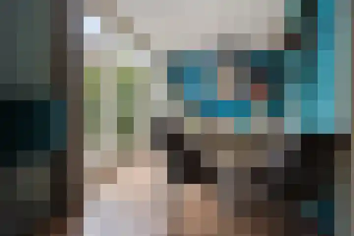 Ooievaarslaan 11 Sneek thumbnail 14