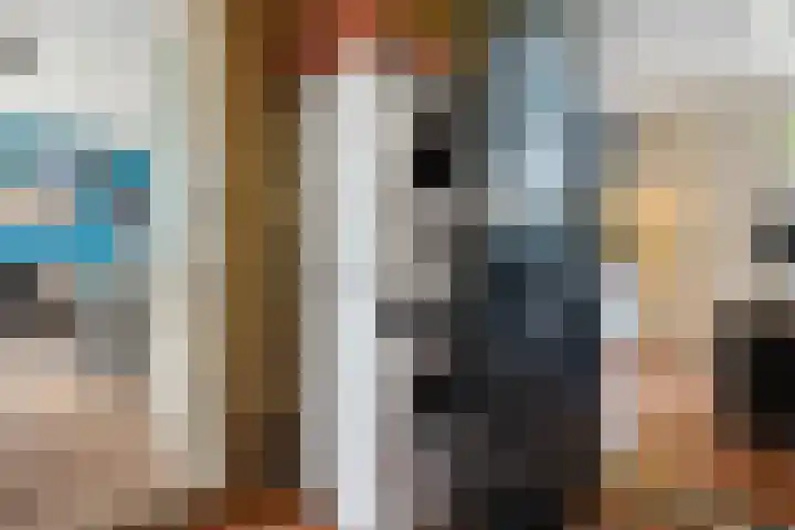 Ooievaarslaan 11 Sneek thumbnail 16