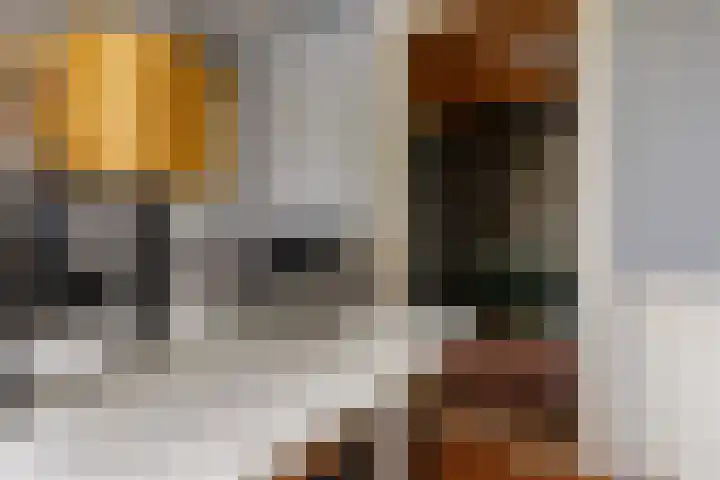 Ooievaarslaan 11 Sneek thumbnail 17