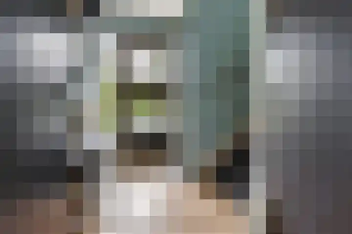 Ooievaarslaan 11 Sneek thumbnail 19
