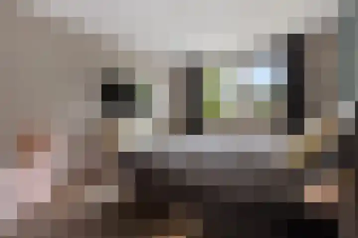Ooievaarslaan 11 Sneek thumbnail 23