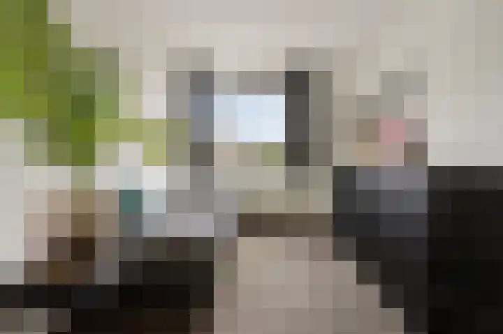 Ooievaarslaan 11 Sneek thumbnail 25