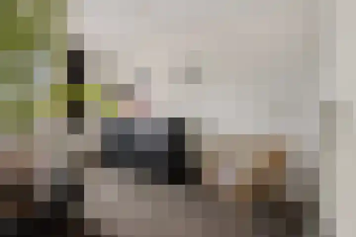 Ooievaarslaan 11 Sneek thumbnail 26