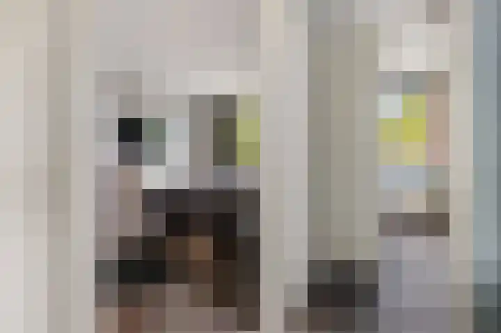 Ooievaarslaan 11 Sneek thumbnail 28