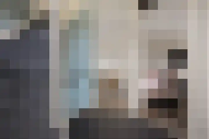 Ooievaarslaan 11 Sneek thumbnail 29