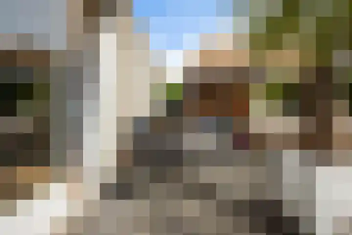 Ooievaarslaan 11 Sneek thumbnail 33
