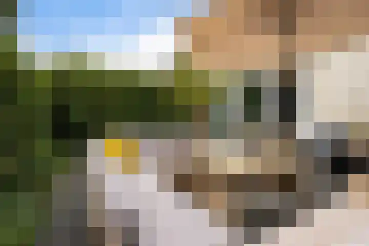 Ooievaarslaan 11 Sneek thumbnail 35