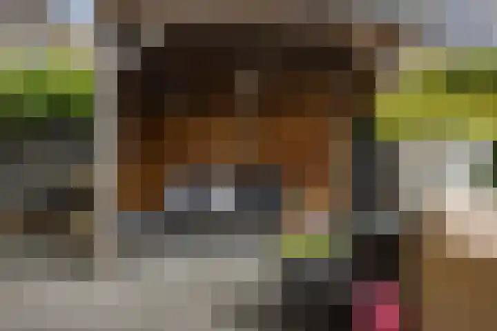 Ooievaarslaan 11 Sneek thumbnail 36