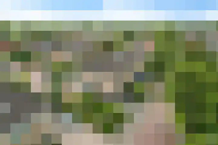 Ooievaarslaan 11 Sneek thumbnail 39