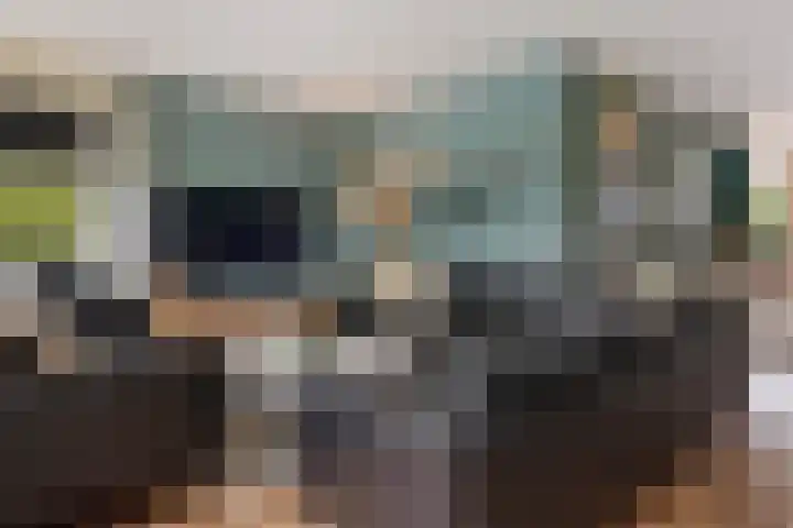 Ooievaarslaan 11 Sneek thumbnail 4