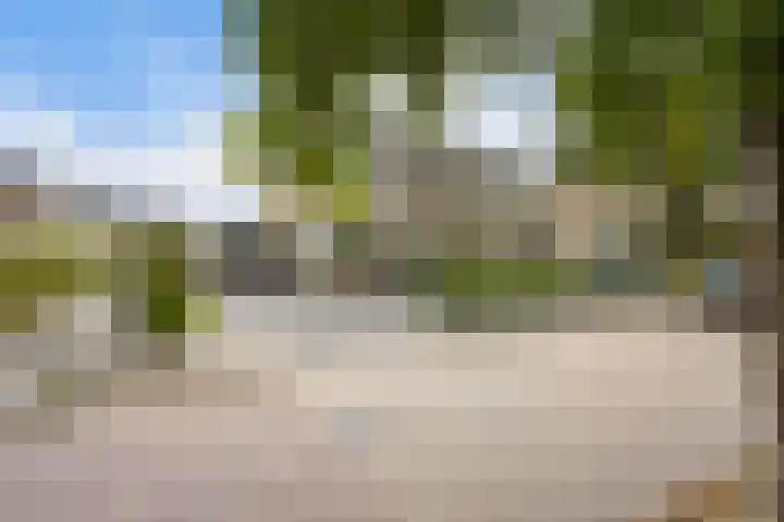 Ooievaarslaan 11 Sneek thumbnail 40