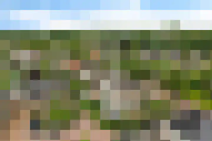 Ooievaarslaan 11 Sneek thumbnail 43