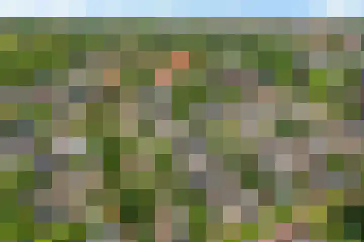 Ooievaarslaan 11 Sneek thumbnail 44