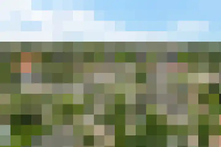 Ooievaarslaan 11 Sneek thumbnail 45