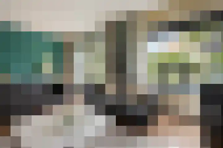 Ooievaarslaan 11 Sneek thumbnail 5