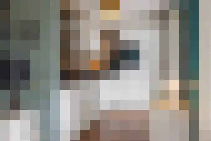 Ooievaarslaan 11 Sneek thumbnail 9