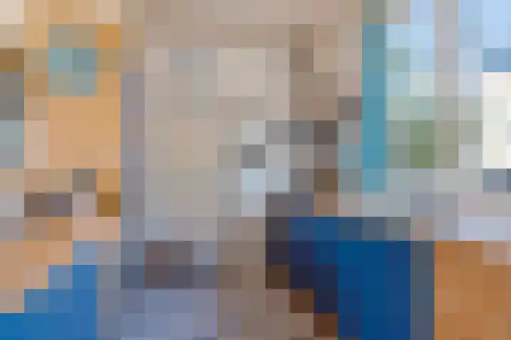 Ooievaarslaan 16 Sneek thumbnail 13