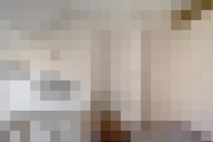 Ooievaarslaan 16 Sneek thumbnail 22