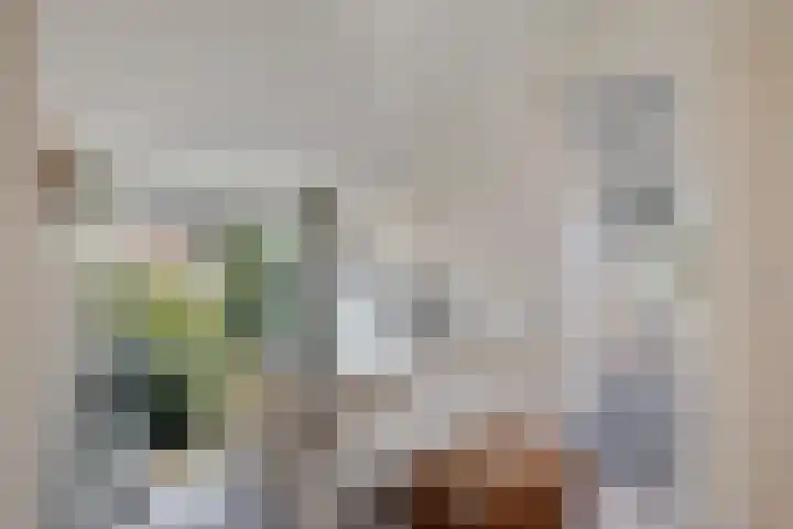 Ooievaarslaan 16 Sneek thumbnail 29