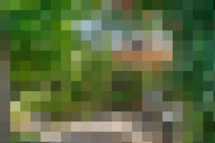 Ooievaarslaan 16 Sneek thumbnail 30