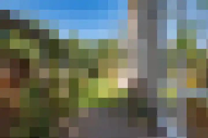 Ooievaarslaan 16 Sneek thumbnail 31