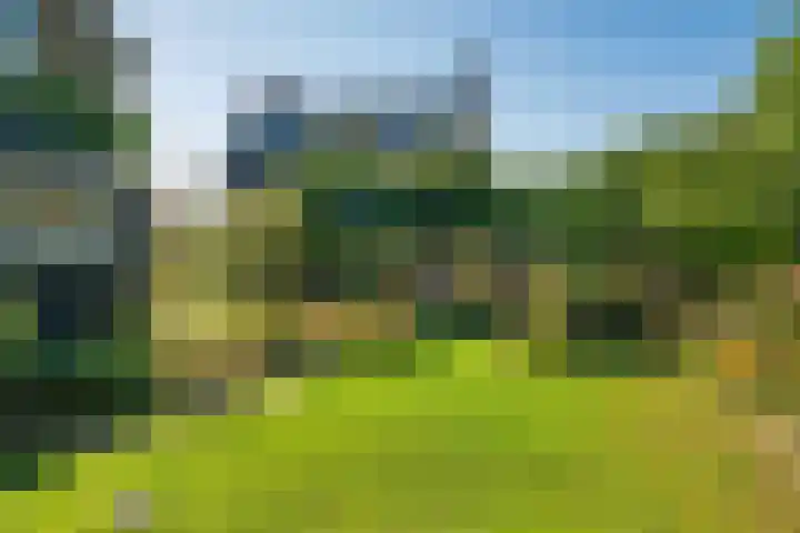 Ooievaarslaan 16 Sneek thumbnail 33