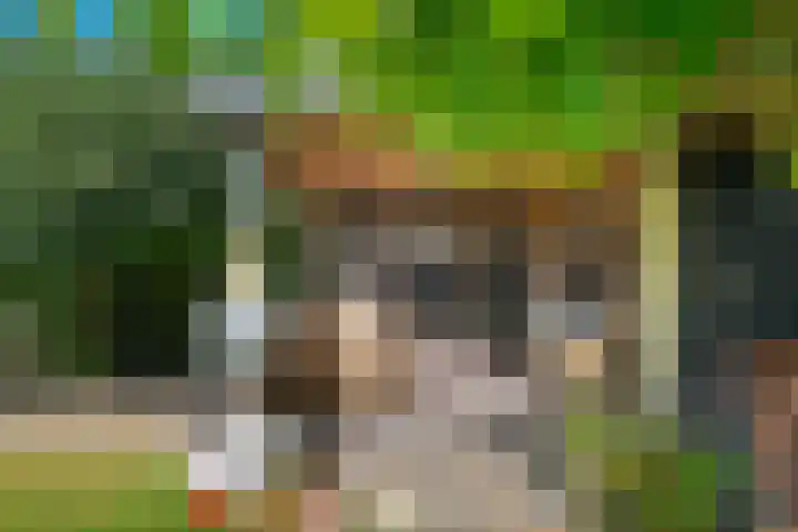 Ooievaarslaan 16 Sneek thumbnail 34