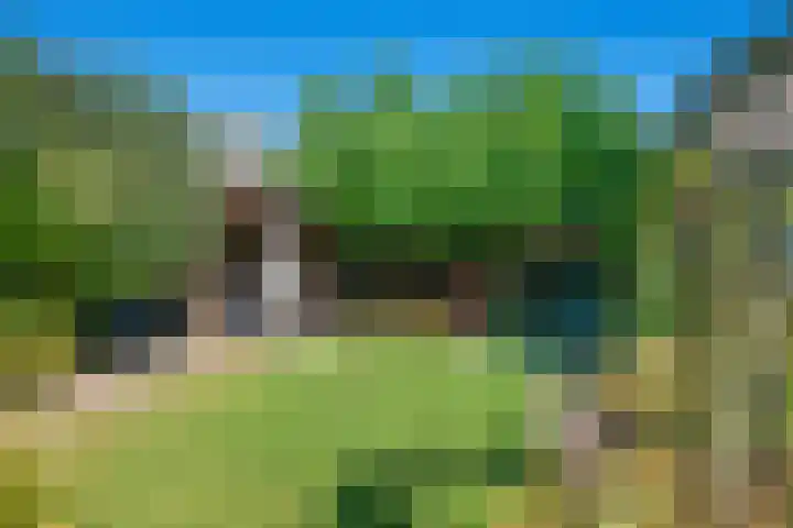 Ooievaarslaan 16 Sneek thumbnail 35