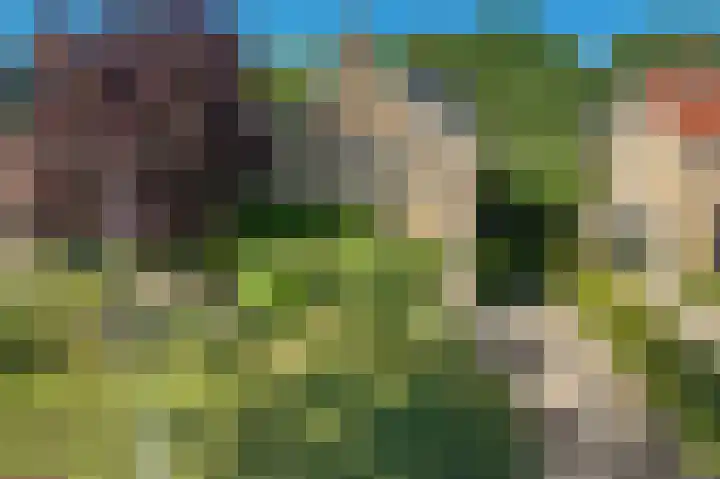 Ooievaarslaan 16 Sneek thumbnail 36