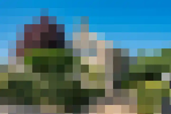 Ooievaarslaan 16 Sneek thumbnail 38