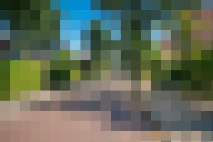 Ooievaarslaan 16 Sneek thumbnail 39