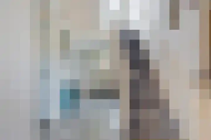 Ooievaarslaan 16 Sneek thumbnail 4
