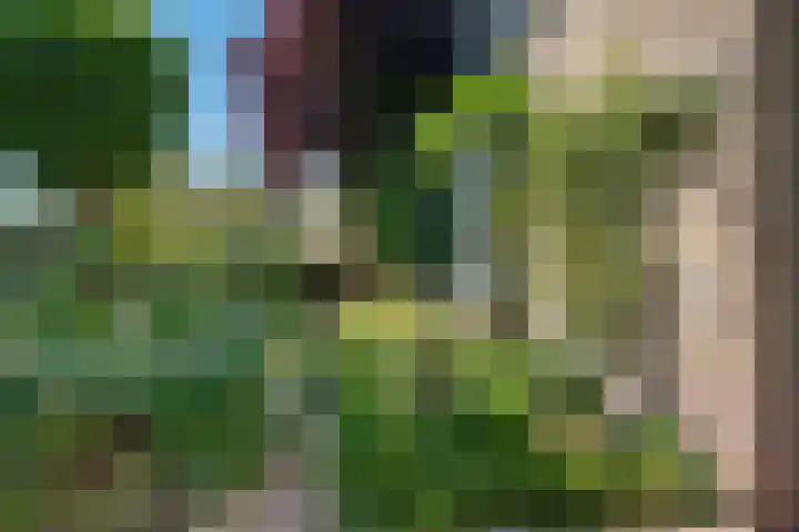 Ooievaarslaan 16 Sneek thumbnail 40