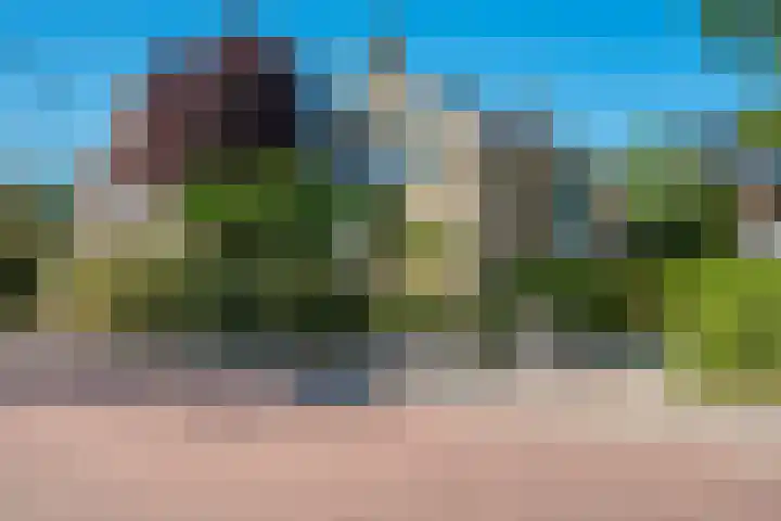 Ooievaarslaan 16 Sneek thumbnail 41