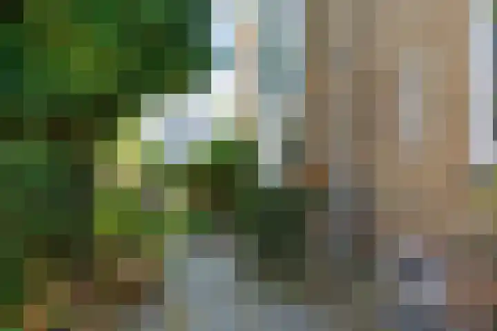 Ooievaarslaan 16 Sneek thumbnail 43